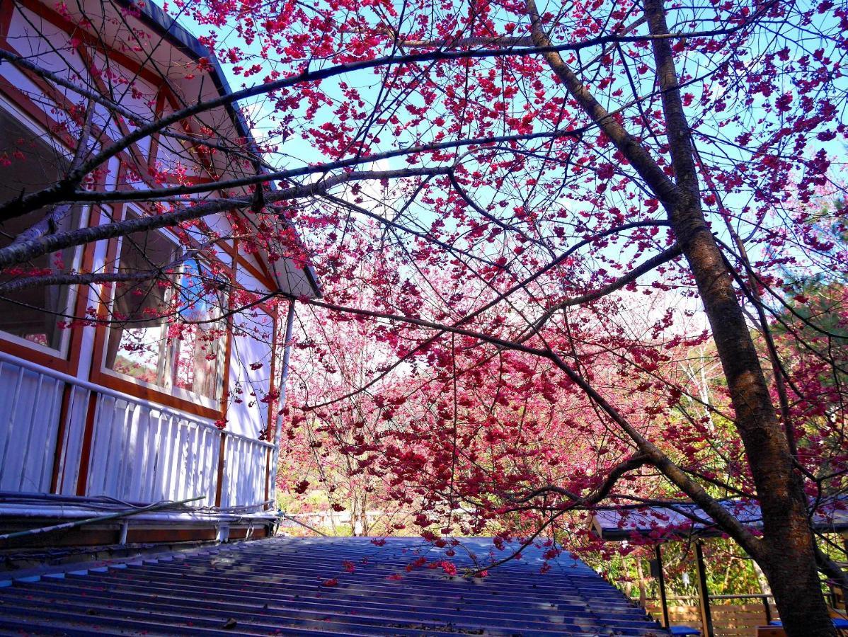 런아이 森之秘湯 Mhuwe Hotspring 아파트 객실 사진