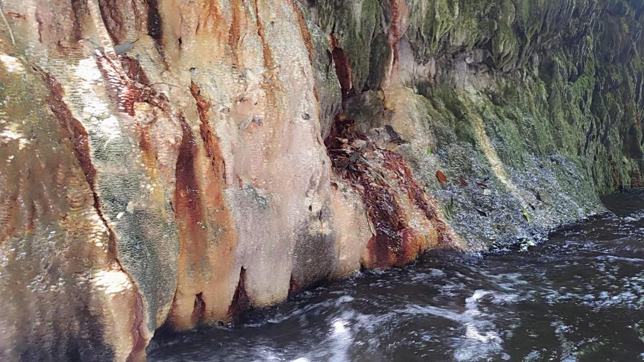 런아이 森之秘湯 Mhuwe Hotspring 아파트 외부 사진